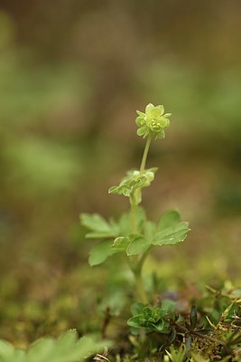 BUITEN BEELD Foto: 371552