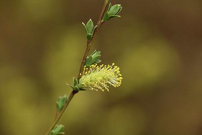 BUITEN BEELD Foto: 371563