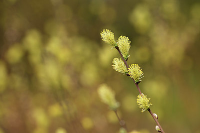 BUITEN BEELD Foto: 371565