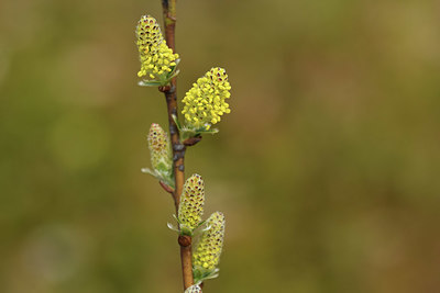 BUITEN BEELD Foto: 371591