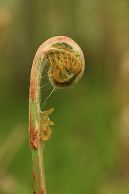 BUITEN BEELD Foto: 371603