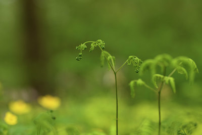 BUITEN BEELD Foto: 371606