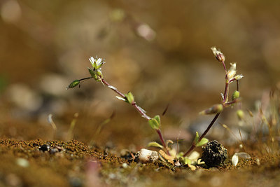 BUITEN BEELD Foto: 371638