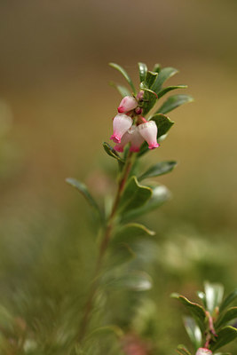 BUITEN BEELD Foto: 371643