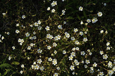 BUITEN BEELD Foto: 371657