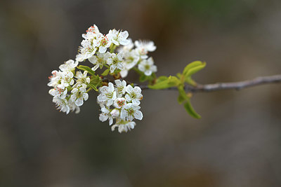 BUITEN BEELD Foto: 371664