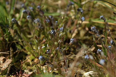BUITEN BEELD Foto: 371688