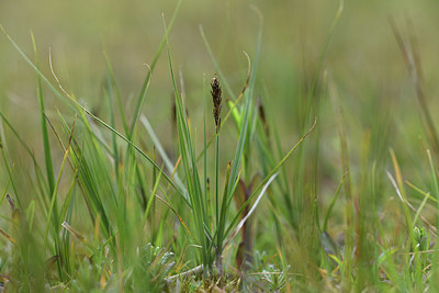 BUITEN BEELD Foto: 371700