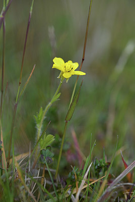 BUITEN BEELD Foto: 371705
