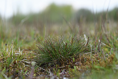 BUITEN BEELD Foto: 371710