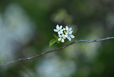 BUITEN BEELD Foto: 371725