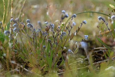 BUITEN BEELD Foto: 371727
