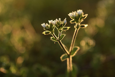 BUITEN BEELD Foto: 371745