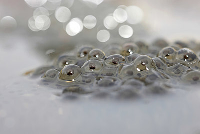 BUITEN BEELD Foto: 372148
