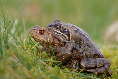BUITEN BEELD Foto: 372163