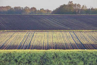 BUITEN BEELD Foto: 373095