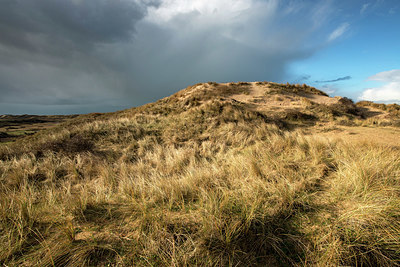 BUITEN BEELD Foto: 373145