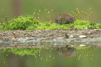 BUITEN BEELD Foto: 373321