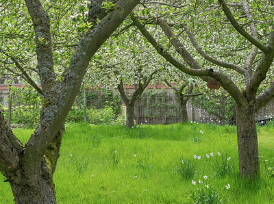 BUITEN BEELD Foto: 373497