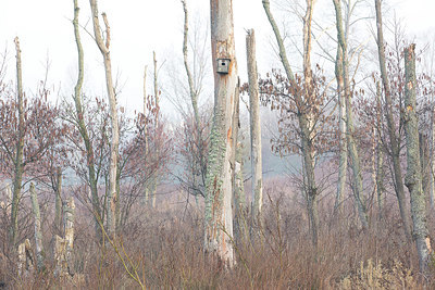 BUITEN BEELD Foto: 373827