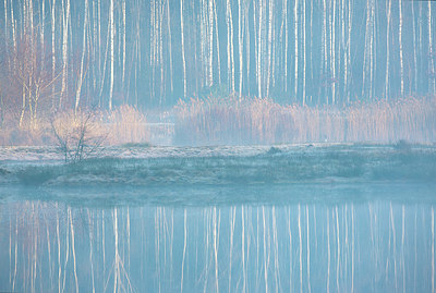 BUITEN BEELD Foto: 373851