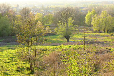 BUITEN BEELD Foto: 373857