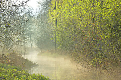 BUITEN BEELD Foto: 373860