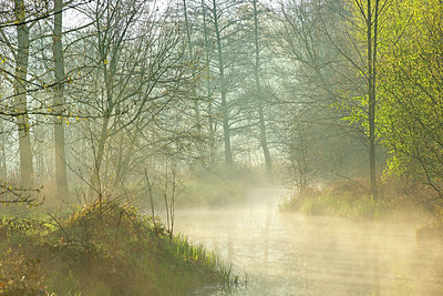 BUITEN BEELD Foto: 373861