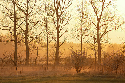 BUITEN BEELD Foto: 373869