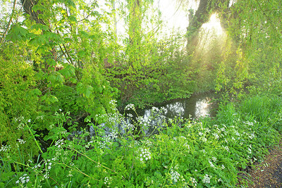 BUITEN BEELD Foto: 373876