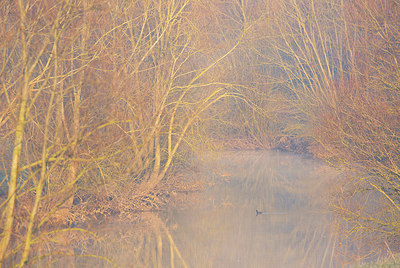 BUITEN BEELD Foto: 373881
