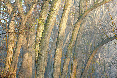 BUITEN BEELD Foto: 373898