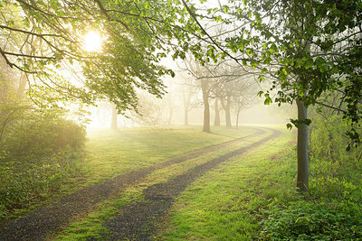 BUITEN BEELD Foto: 373929