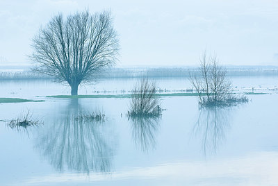 BUITEN BEELD Foto: 373989