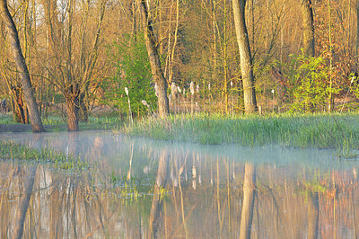BUITEN BEELD Foto: 374016