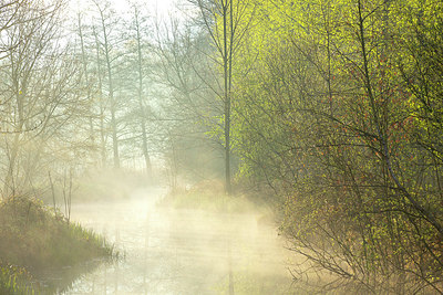 BUITEN BEELD Foto: 374017