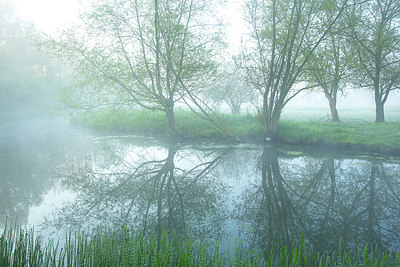 BUITEN BEELD Foto: 374071