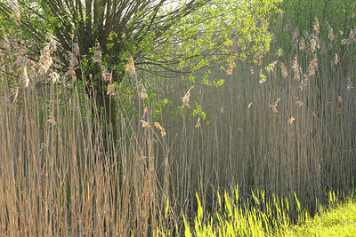 BUITEN BEELD Foto: 374072