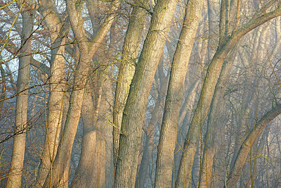 BUITEN BEELD Foto: 374074