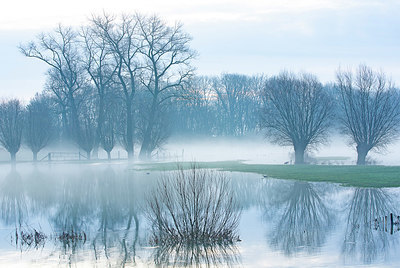 BUITEN BEELD Foto: 374095