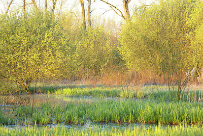 BUITEN BEELD Foto: 374096