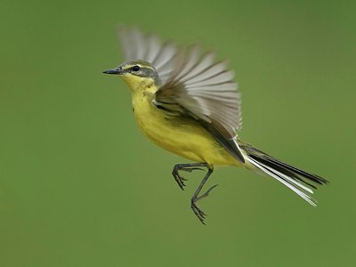 BUITEN BEELD Foto: 374870