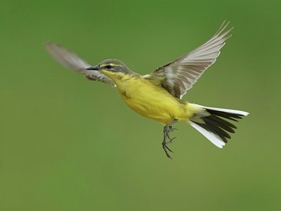 BUITEN BEELD Foto: 374885