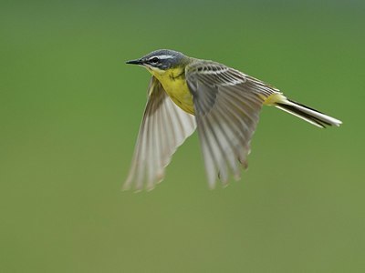 BUITEN BEELD Foto: 374886