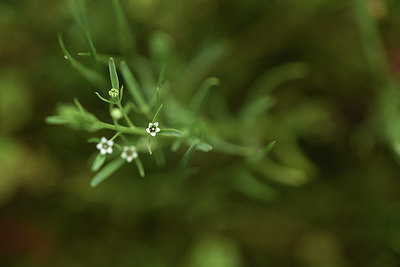 BUITEN BEELD Foto: 374951