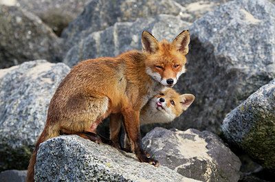 BUITEN BEELD Foto: 374996