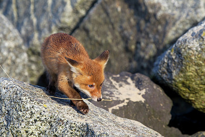 BUITEN BEELD Foto: 375011