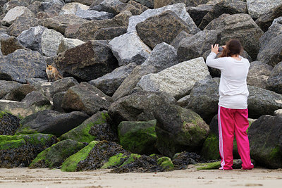 BUITEN BEELD Foto: 375104