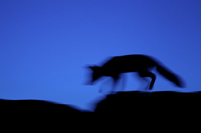 BUITEN BEELD Foto: 375173