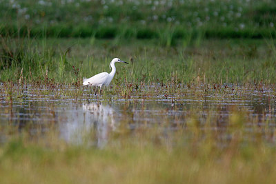 BUITEN BEELD Foto: 375645